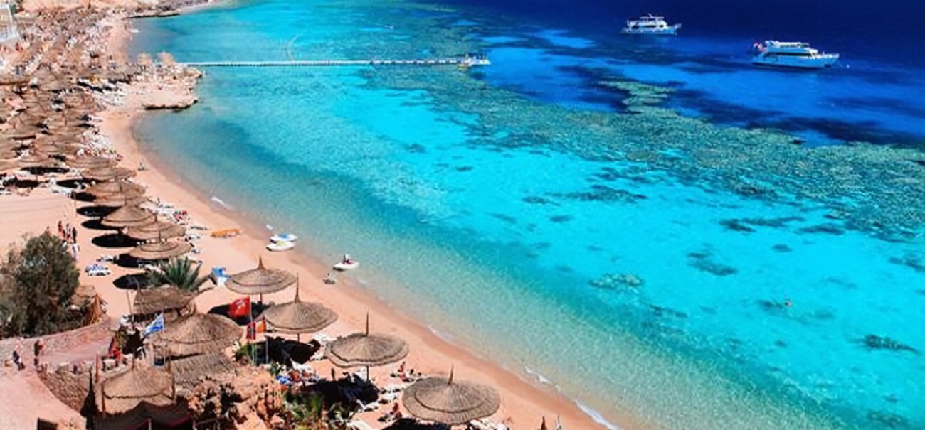 Tropical Paradise