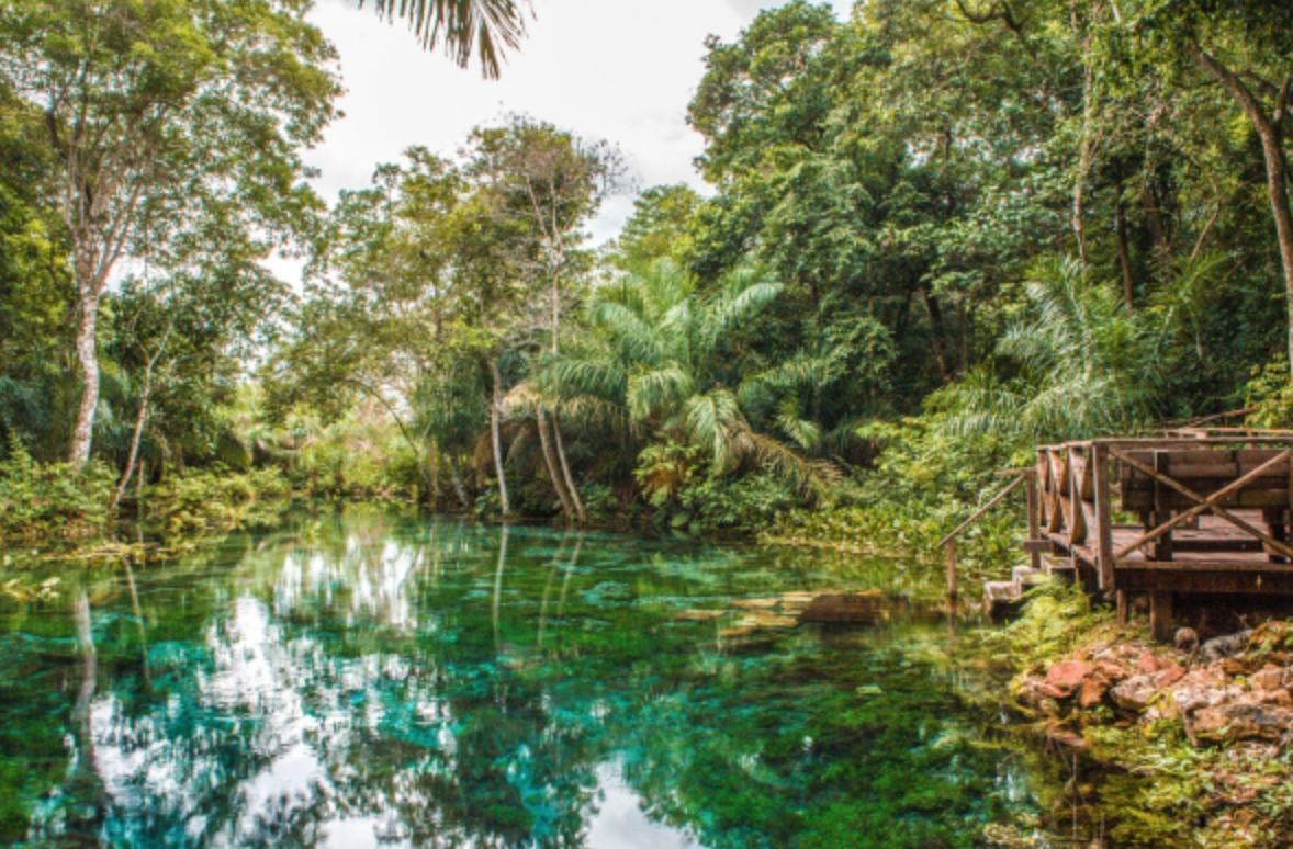 Mato Grosso do Sul