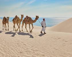 Mesaieed  Qatar