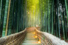 Kyoto, Japan