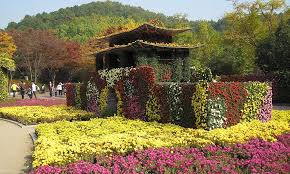Daegu south Korea