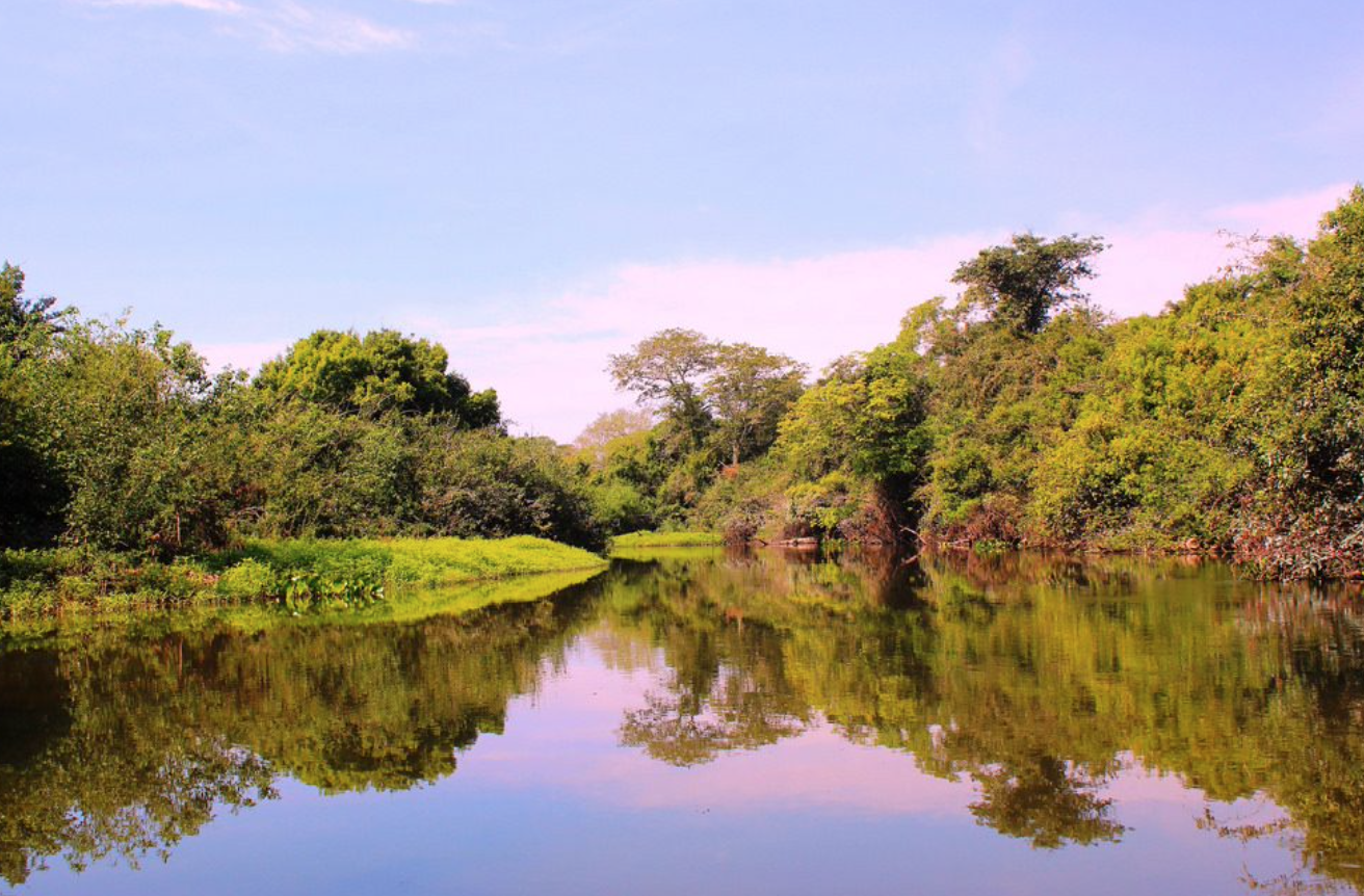 Mato Grosso