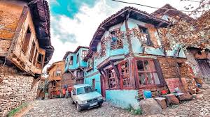 Bursa turkey