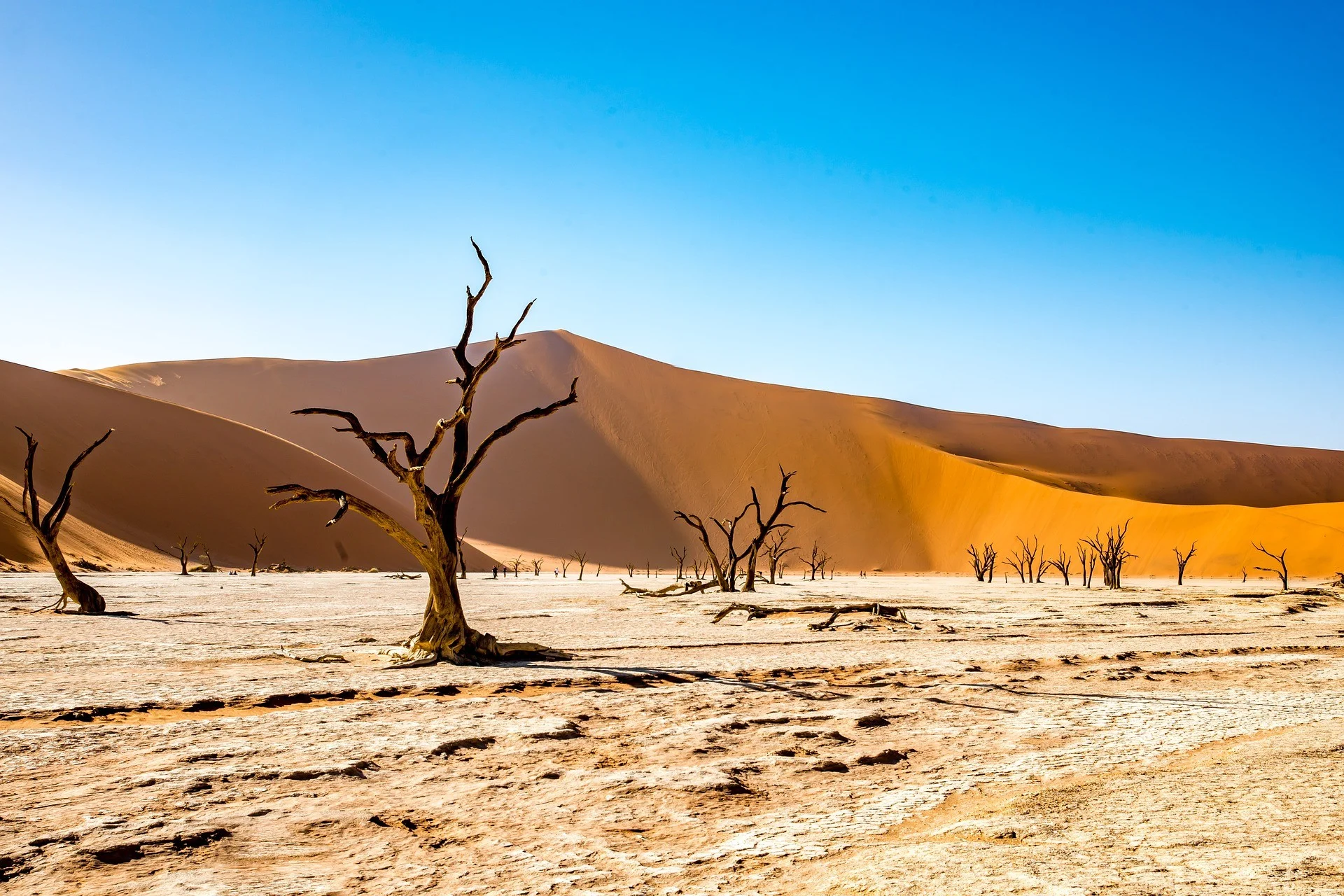 Namibia: The Land Where Silence Roars and the Desert Breathes