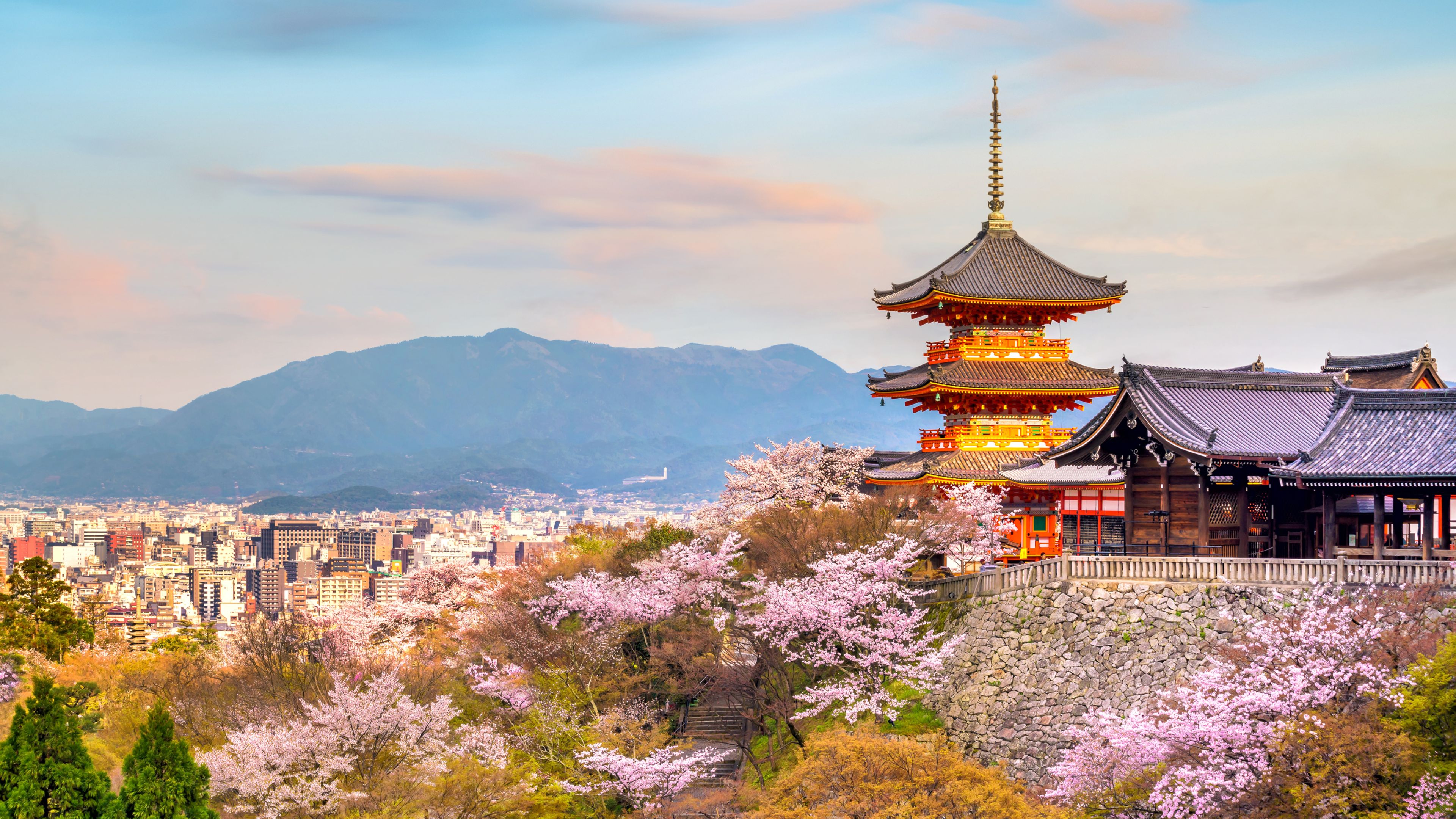 Kyoto Cherry Blossom Season 2025 – Best Spots to Experience Sakura in Japan