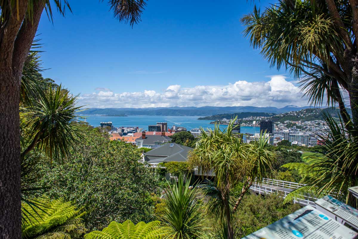 Wellington Whispers: New Zealand’s Creative Capital of Wind, Waves & Wonder