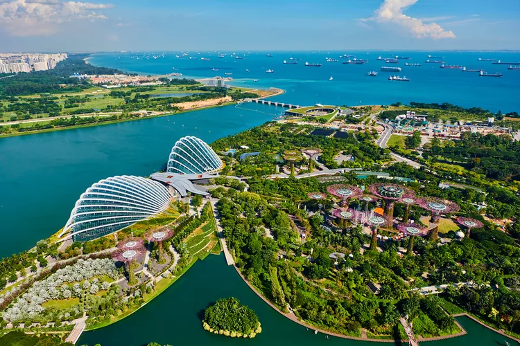 Singapore Sensations: A Futuristic Feast of Culture, Flavor, and Nature
