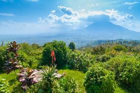 Rwanda: The Land of a Thousand Hills and Unforgettable Adventures