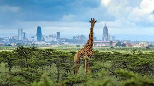 Nairobi, Kenya: A Thrilling Mix of Wildlife, Culture & City Energy