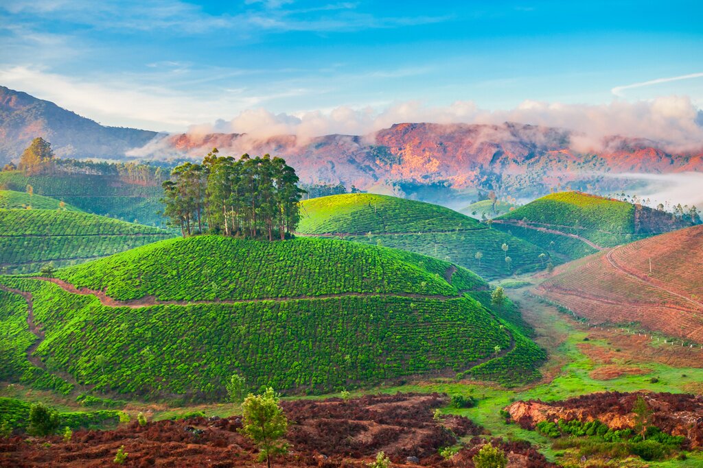 Kandy, Sri Lanka: A Jewel in the Hills with Sacred Temples and Scenic Beauty