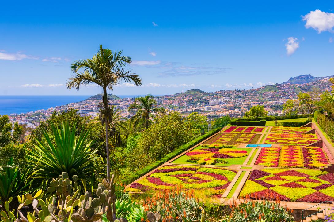 Funchal Unfolded: Where Atlantic Horizons Meet Island Elegance