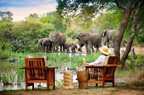 Kruger National Park, South Africa: A Safari Adventure of a Lifetime