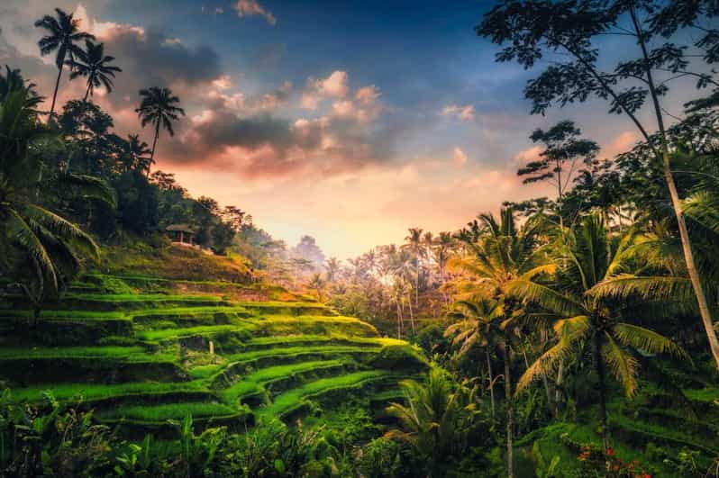 Bali in a Day: Waterfalls, Temples & Coconut Sunsets You’ll Never Forget