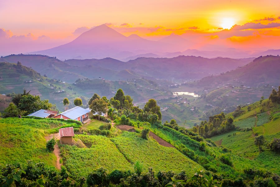 Uganda: The Pearl of Africa — Where Nature Roars and Culture Thrives