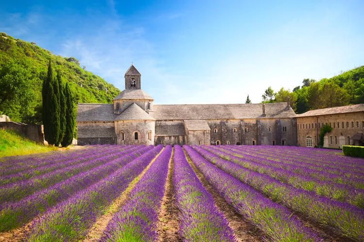 Escape to Provence: Where the Mediterranean Meets Timeless Charm