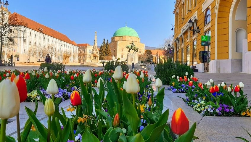 Pécs: Hungary’s Hidden Gem of Roman Ruins, Turkish Architecture, and Rich History