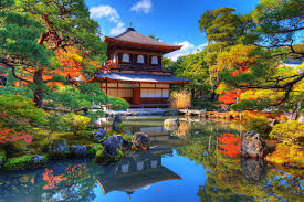 Kyoto: A Journey Through Japan’s Ancient Temples, Geisha Alleys & Zen Gardens