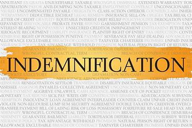 INDEMNIFICATION
